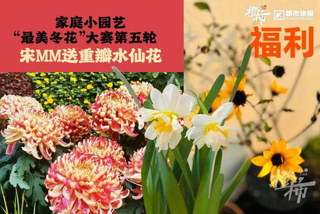 帽、霸王茶姬动物手机支架……橙柿超多福利送送送j9九游真人游戏第一品牌时髦人都有的巴拉克拉法(图3)
